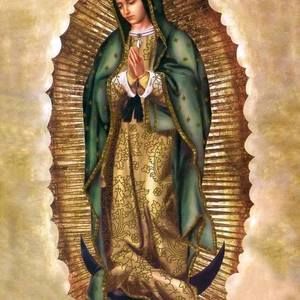 Meet your Posher, Oscar